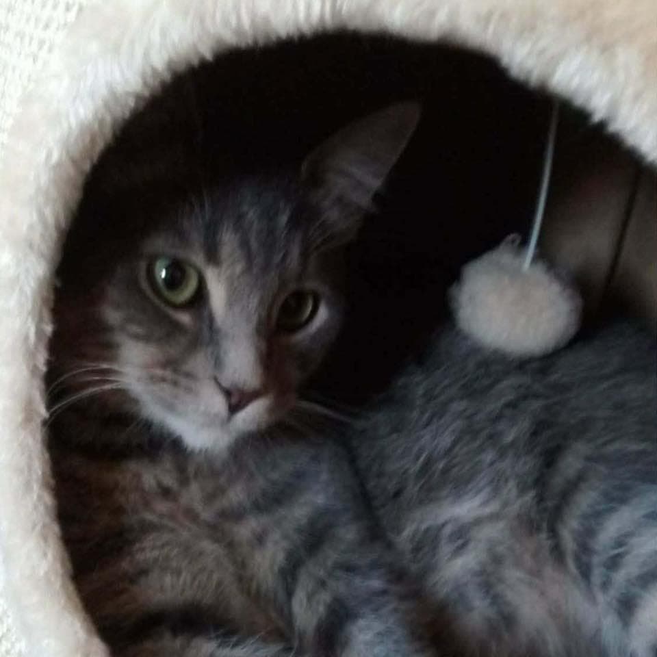 Örnäs Pensionat Galleri - Bild 4