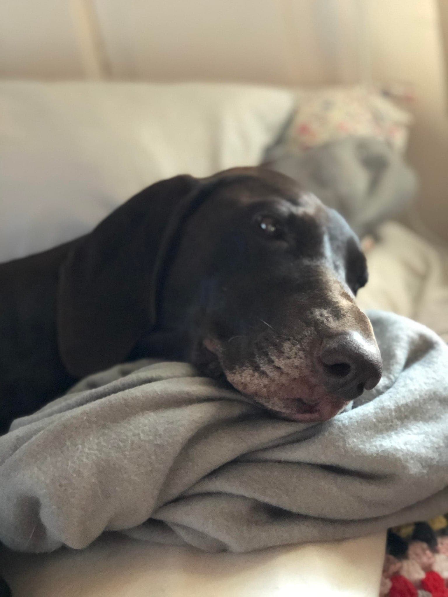 Örnäs Pensionat Galleri - Bild 5